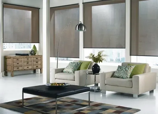 Solar Shades & Screens